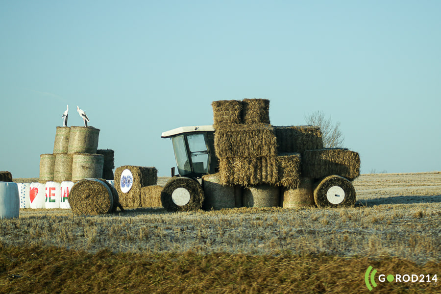 photo_2026-04-03_12-53-58