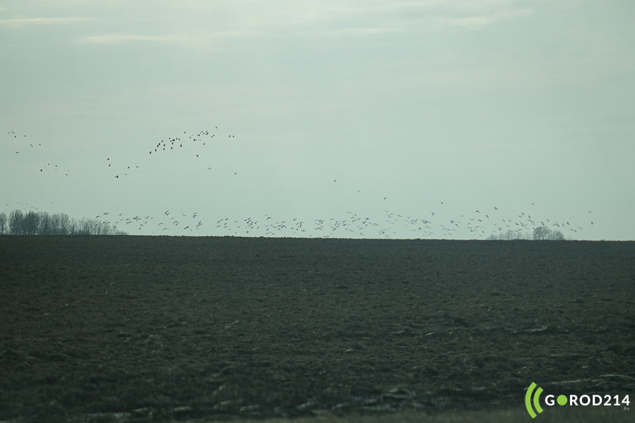 photo_2026-04-03_12-54-08