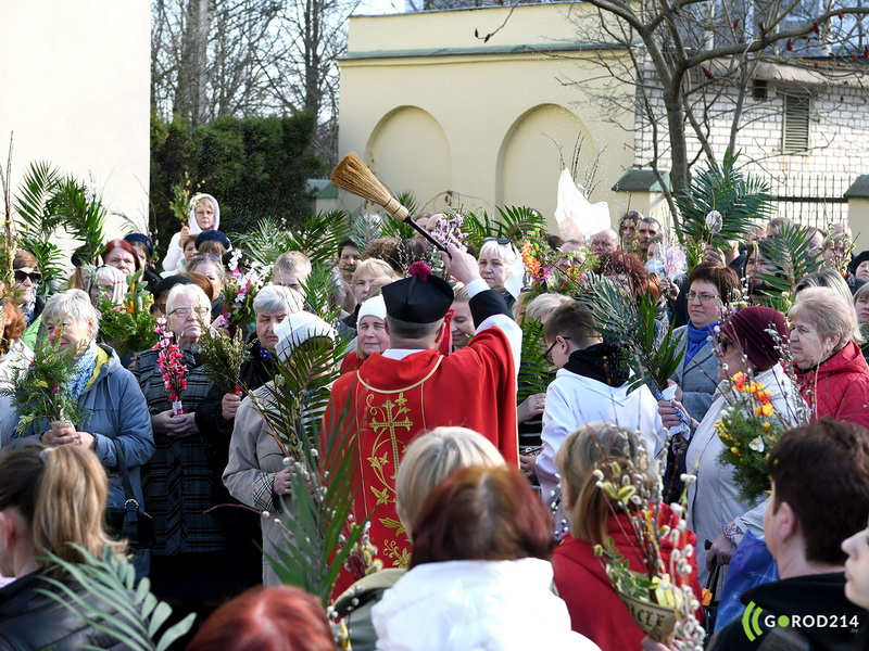 DSC_7872_новый размер