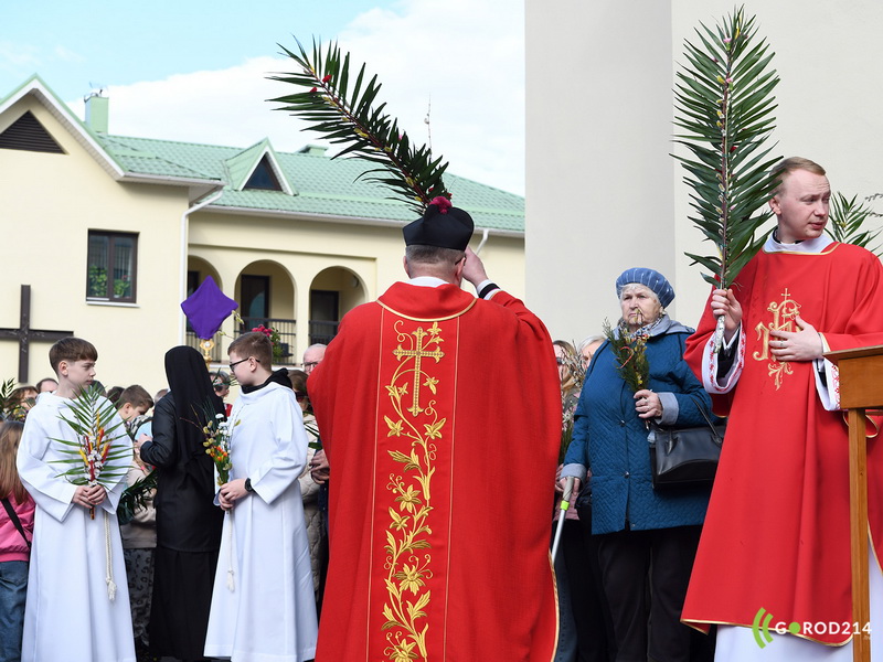 DSC_7894_новый размер