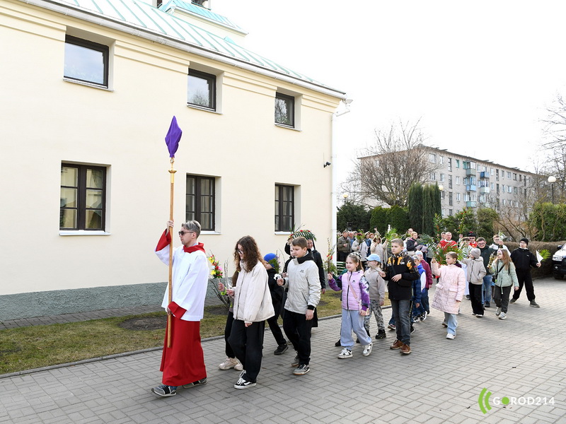 DSC_7906_новый размер