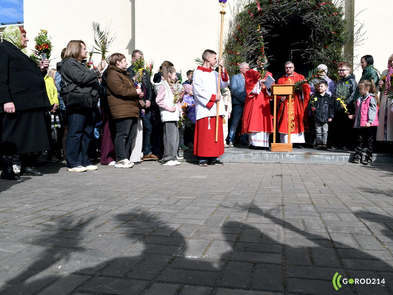 DSC_8038_новый размер