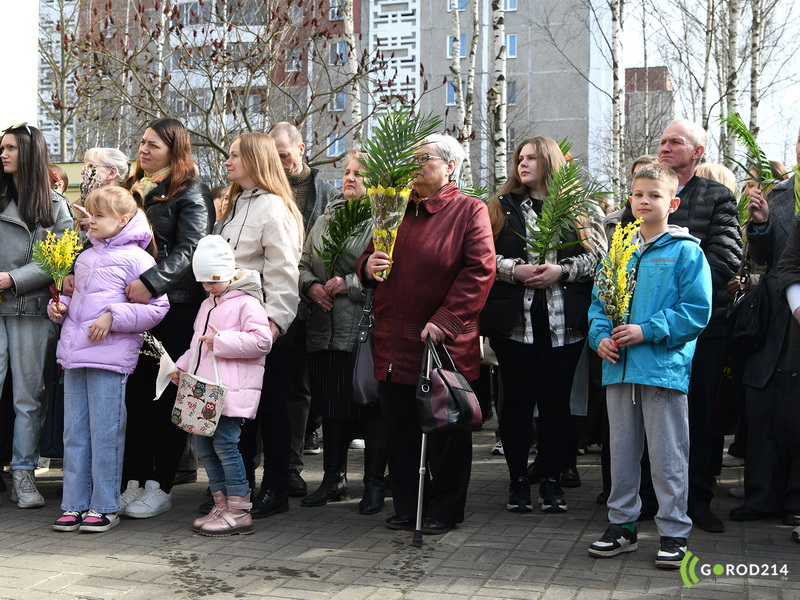 DSC_8060_новый размер