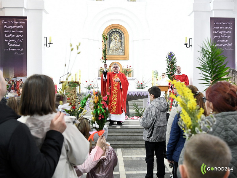 DSC_8083_новый размер