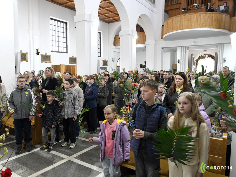 DSC_8094_новый размер