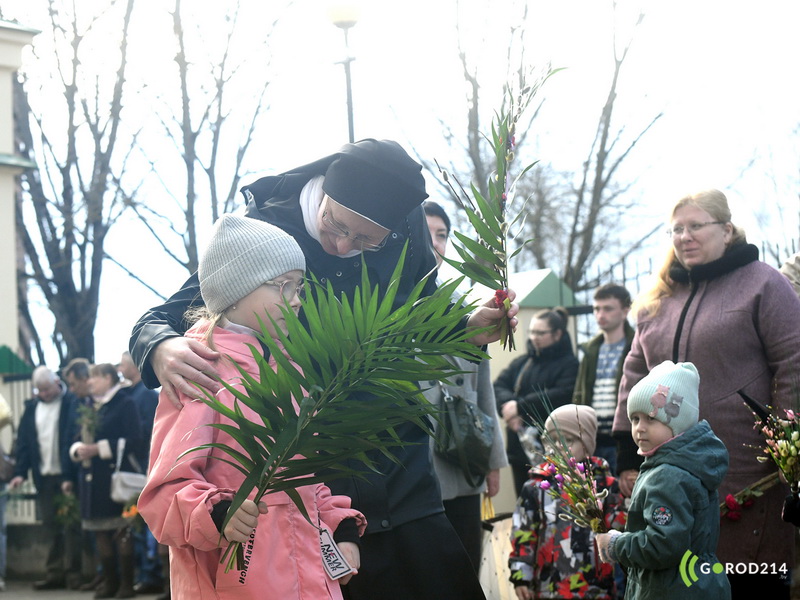 DSC_8204_новый размер