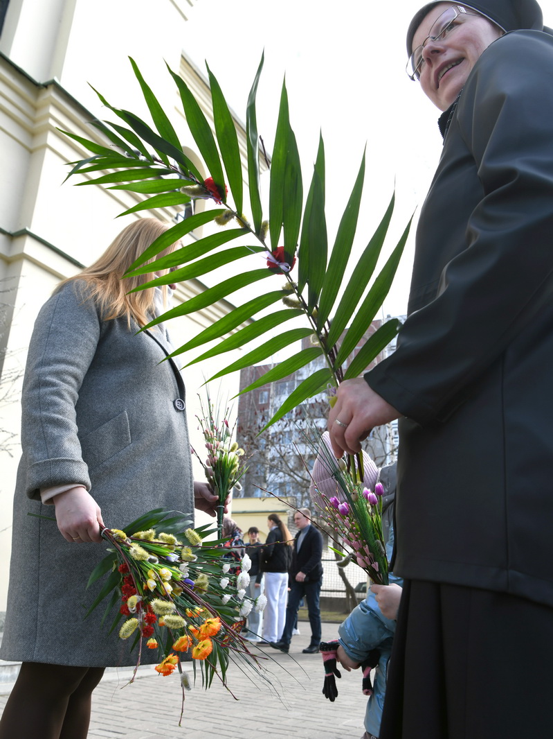 DSC_7833_новый размер