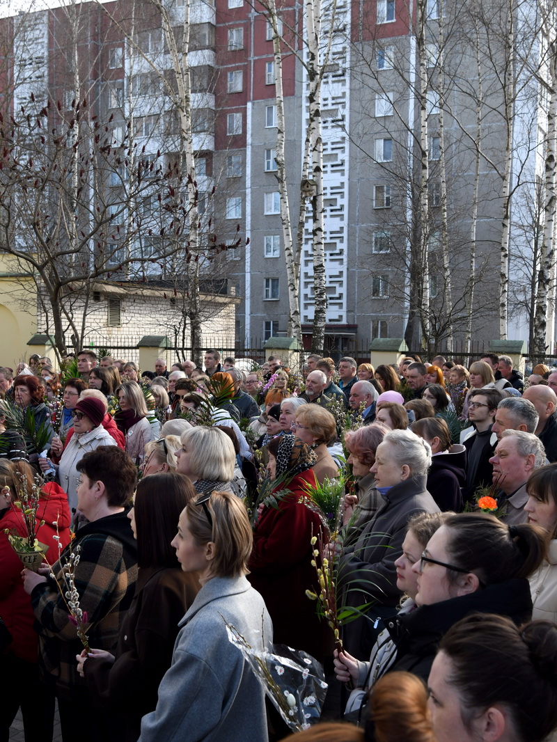 DSC_7862_новый размер