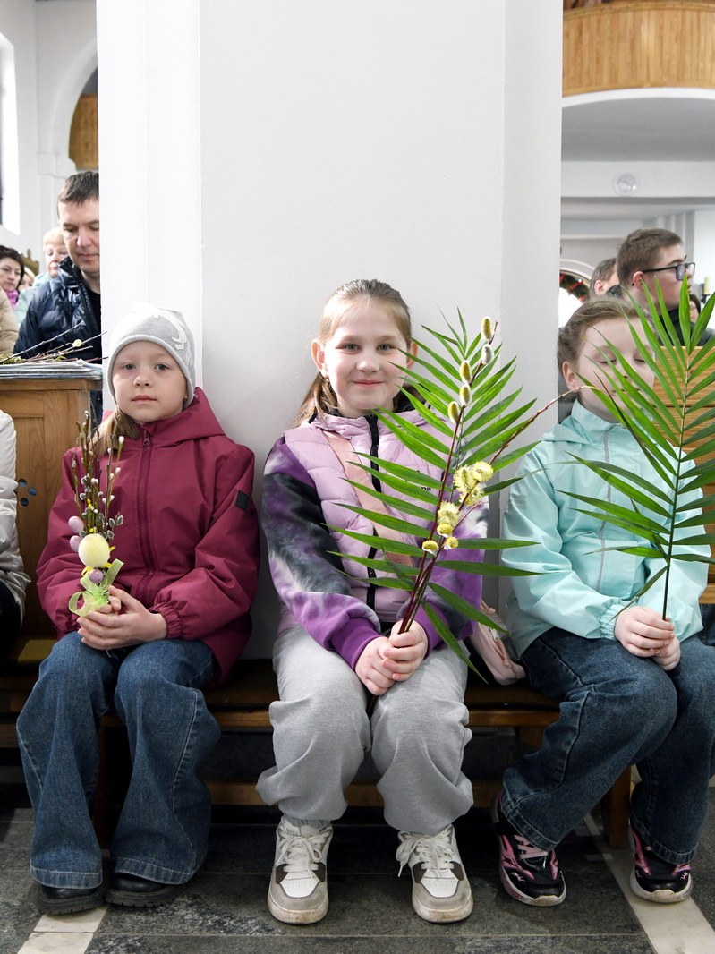 DSC_7941_новый размер