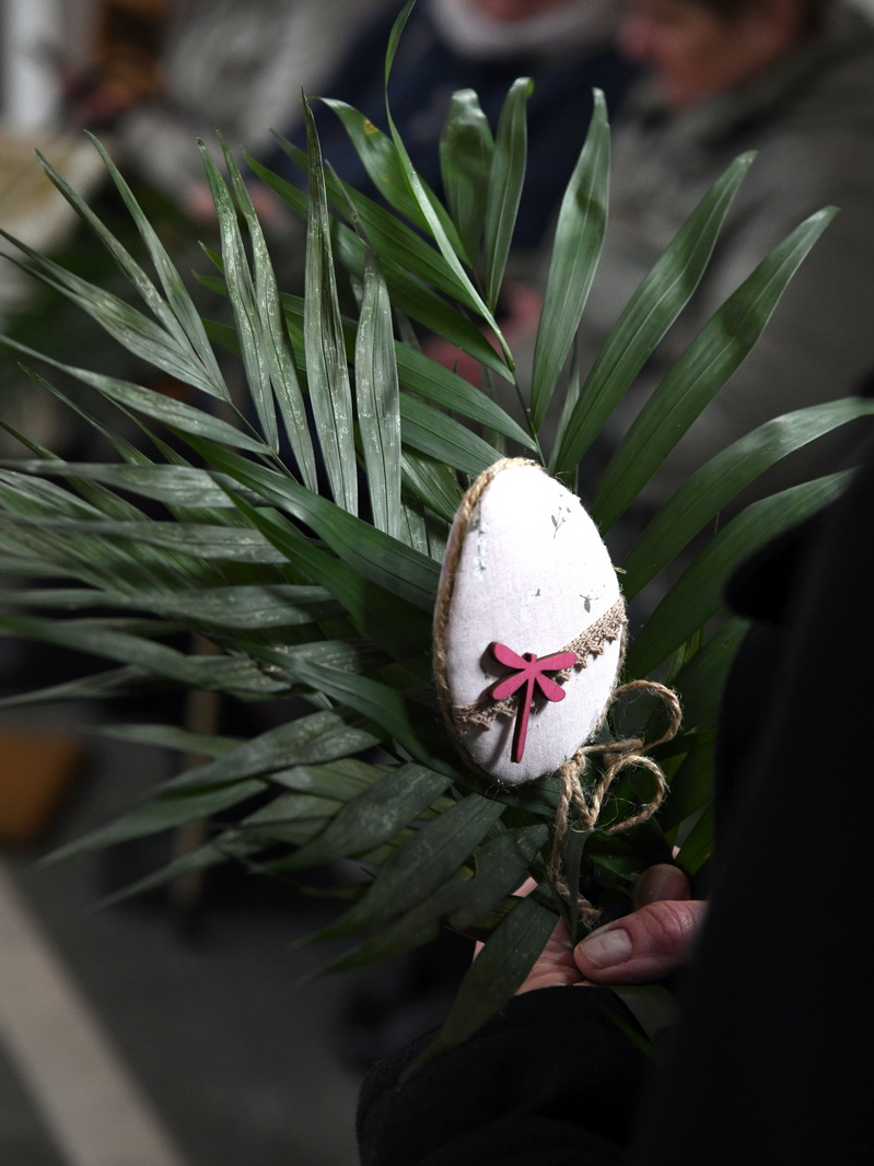 DSC_8015_новый размер