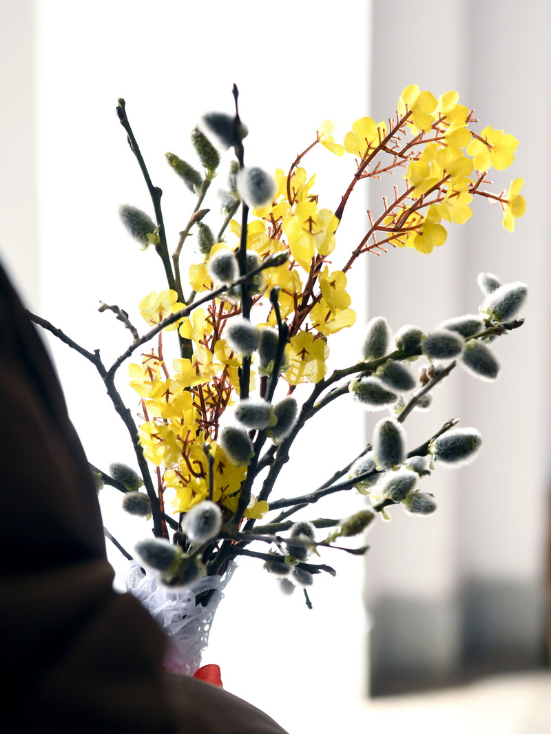 DSC_8016_новый размер