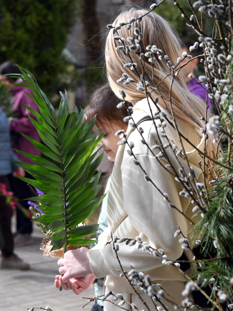 DSC_8017_новый размер