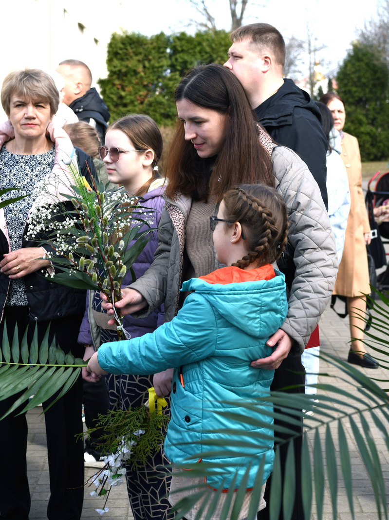 DSC_8035_новый размер