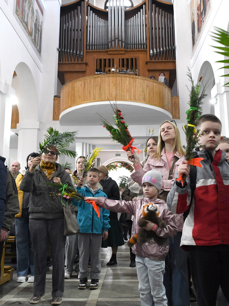 DSC_8088_новый размер