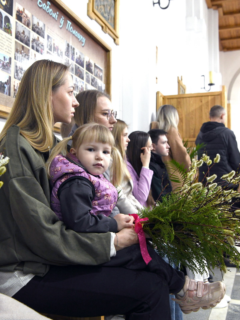 DSC_8109_новый размер