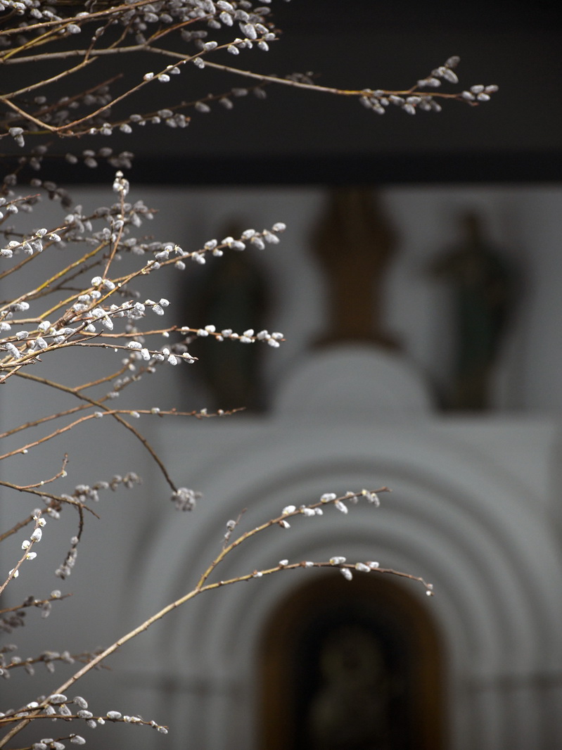 DSC_8243_новый размер