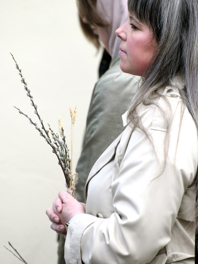 DSC_8246_новый размер