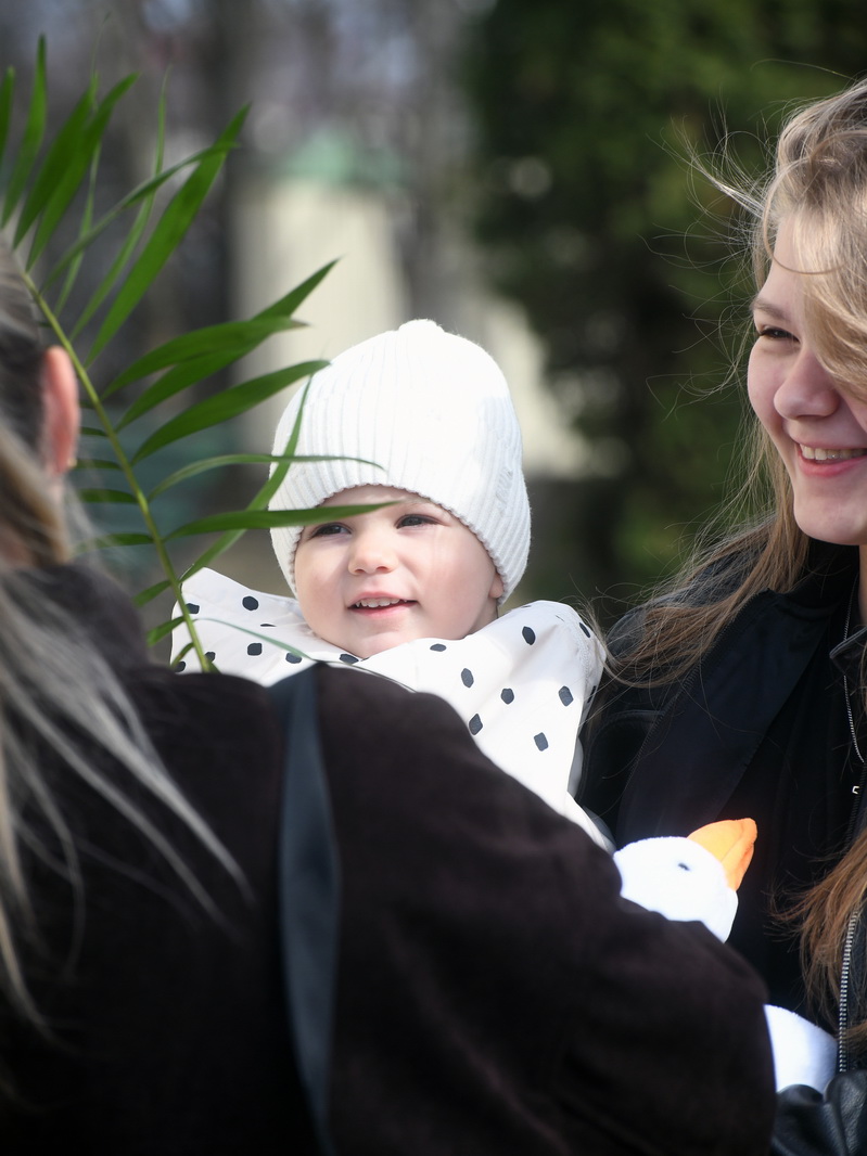 DSC_8286_новый размер