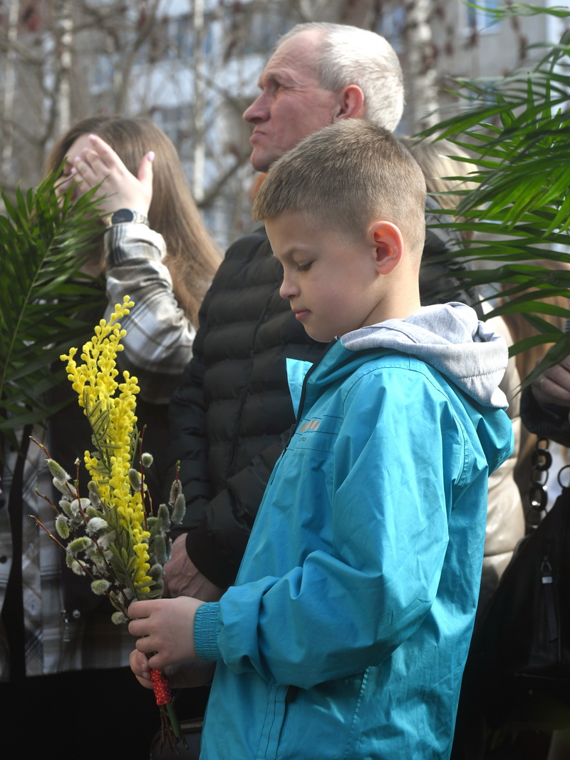 DSC_8301_новый размер