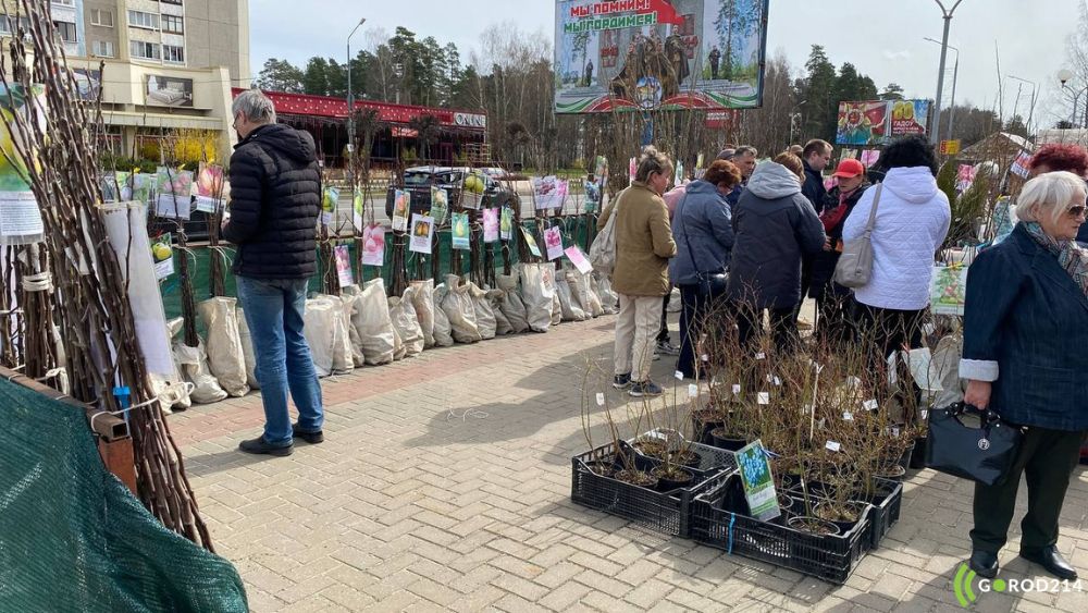 photo_2026-04-01_10-39-02