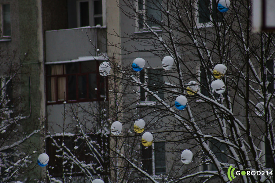 photo_2026-03-06_13-04-58