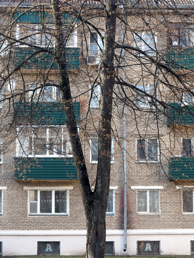 DSC_7671_новый размер