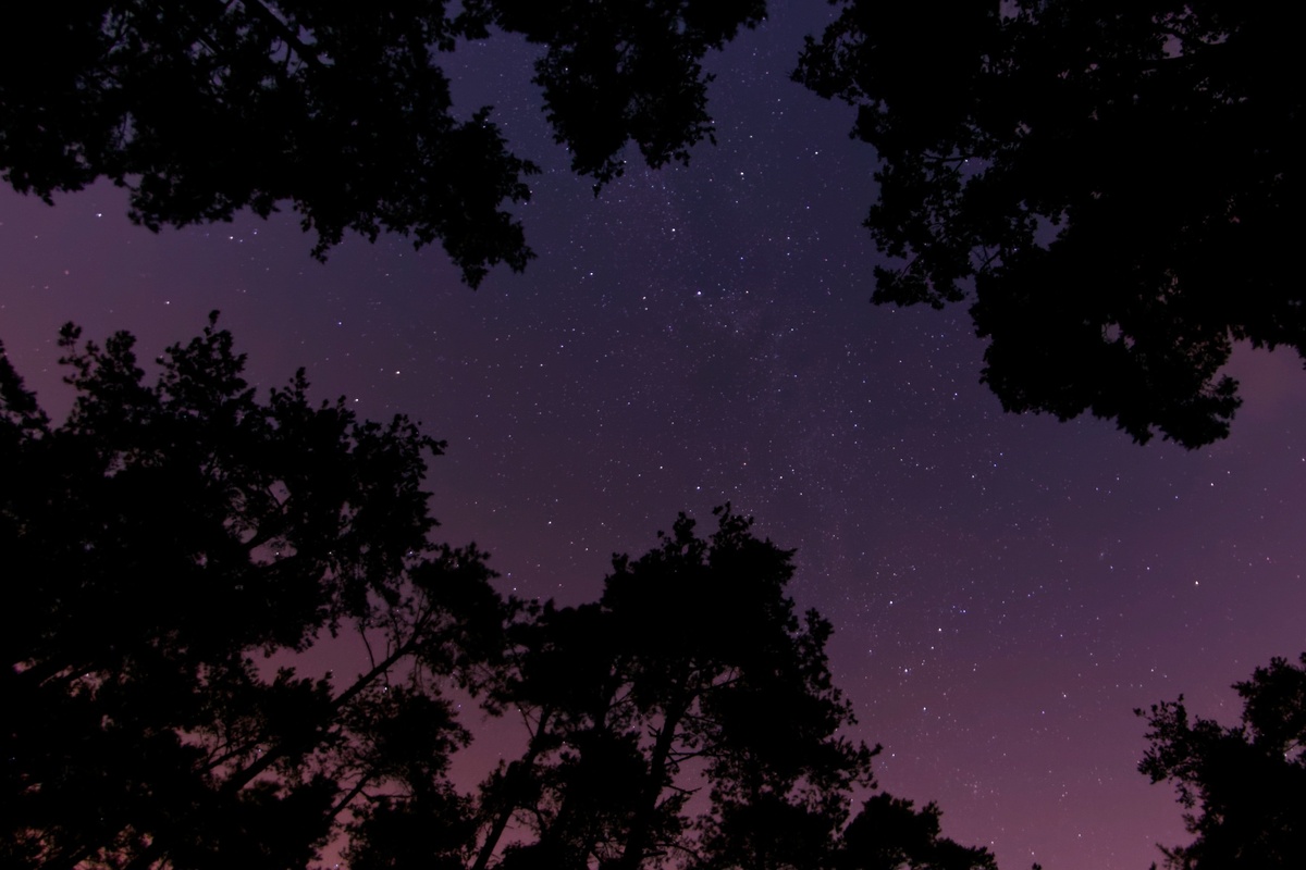 9b8e11c90b3e4c288966a89420cdc40c