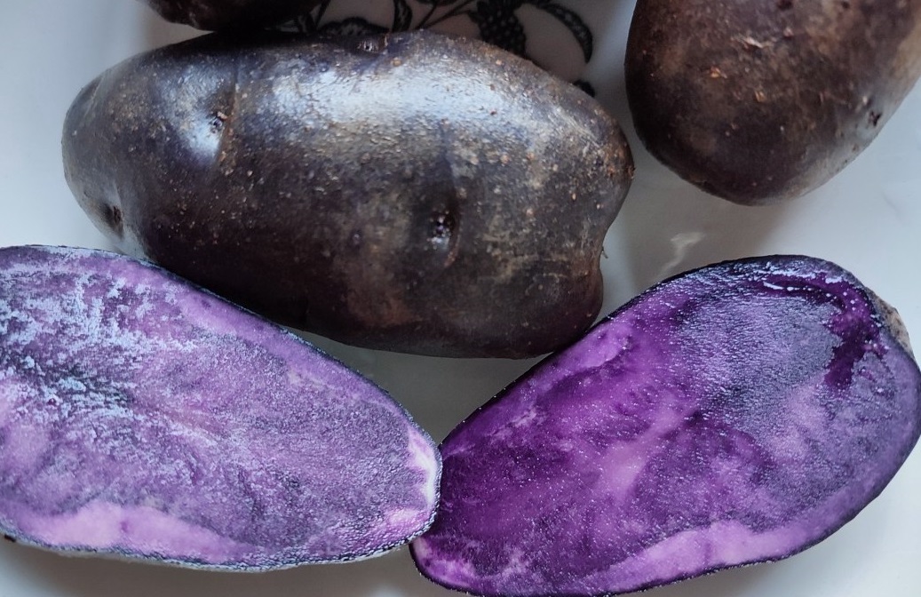 JpbvUD6u3PTSPbiRQstbQ_1