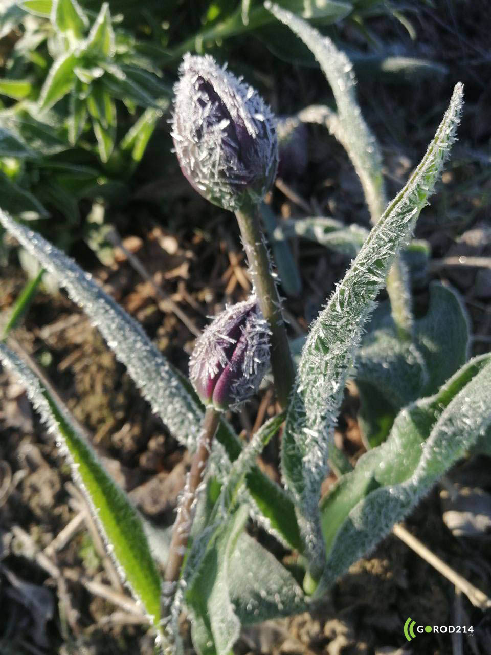 photo_2026-04-27_15-07-03