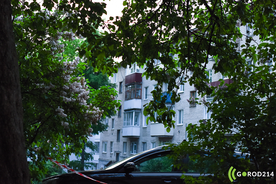 DSC_8388_1