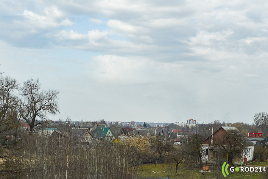 DSC_5956