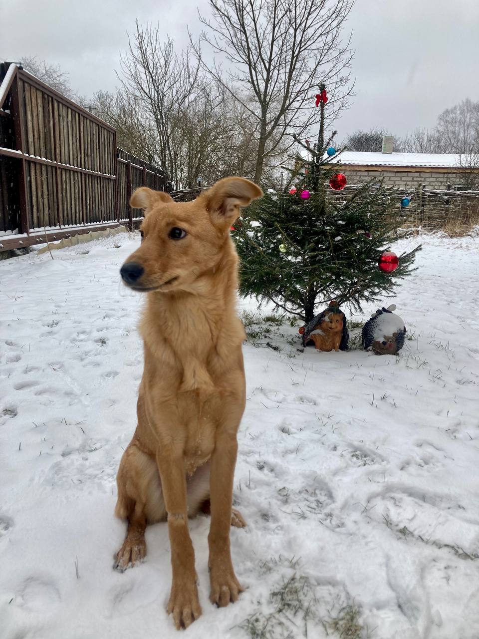 photo_2026-01-02_10-25-49