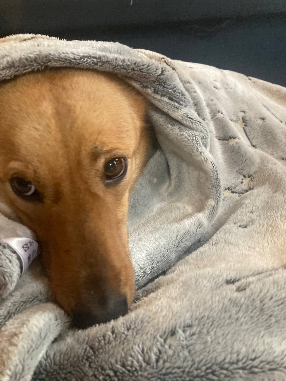 photo_2026-01-04_12-57-06