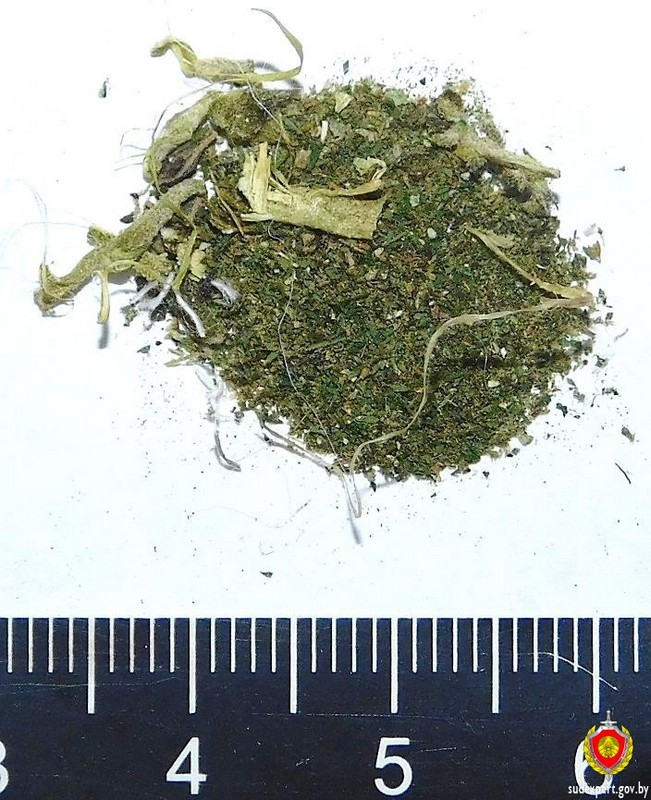 3jbergbbuergregreggre