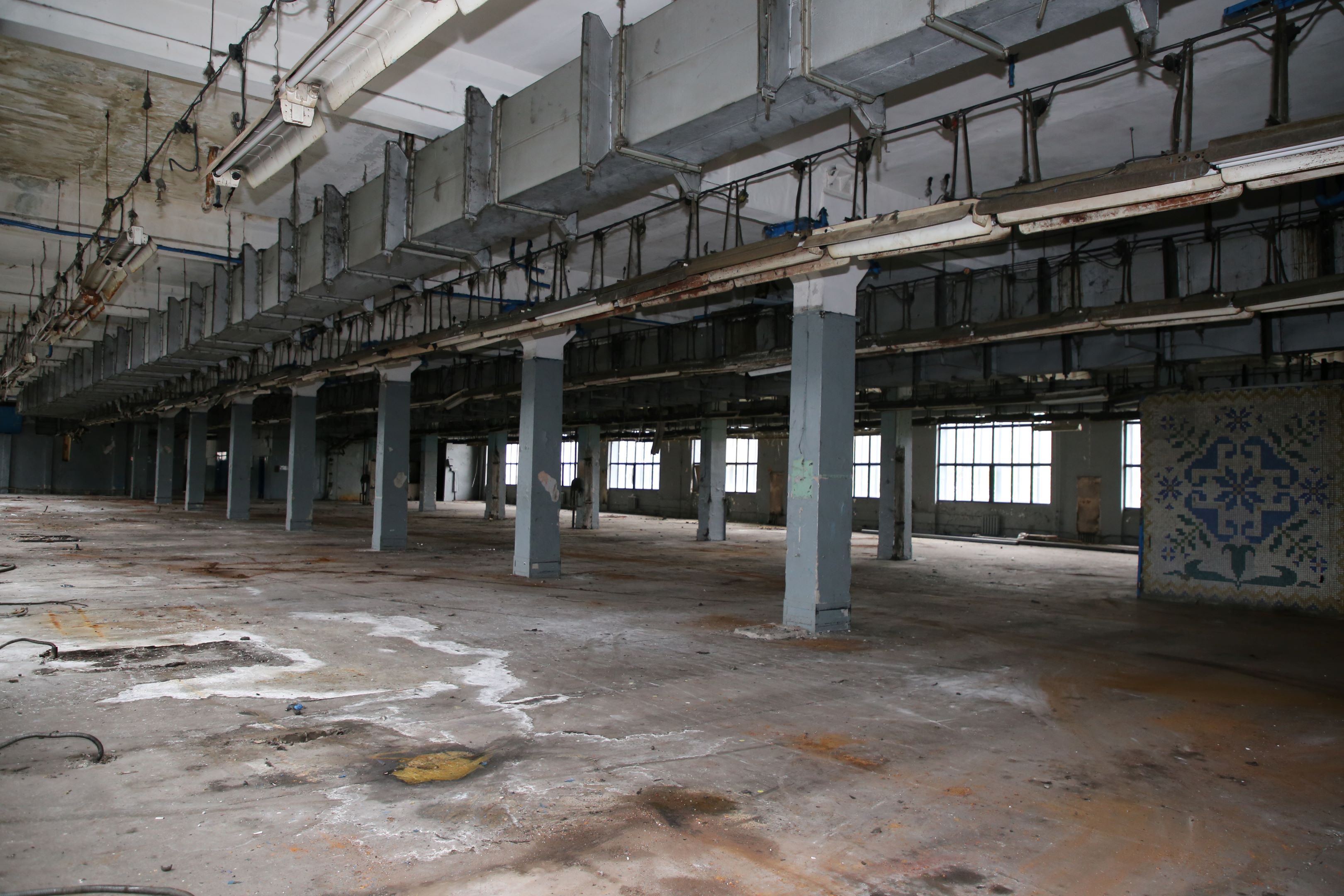 6e9f6283-d820-47f1-ba16-7b81ea240cc5-408bce06-5c78-4766-988d-eb9fe01ba034