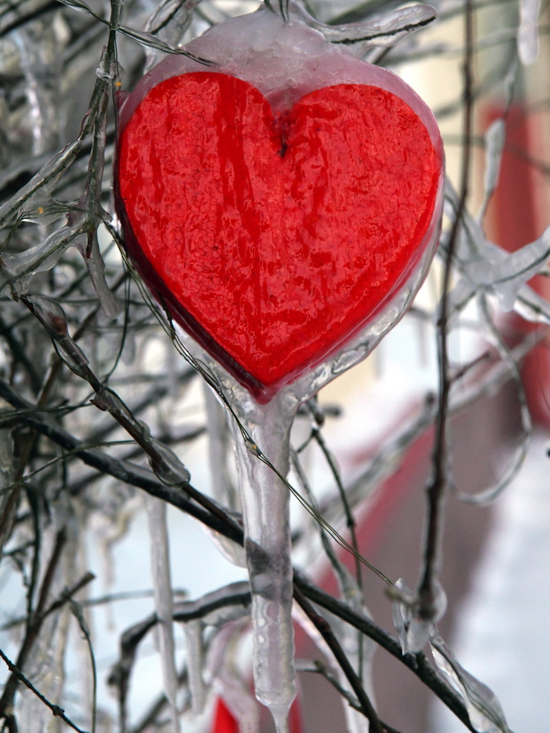 DSC_2638_новый размер