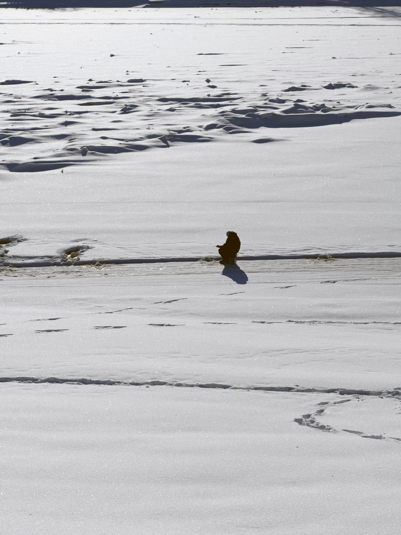 DSC_2673_новый размер