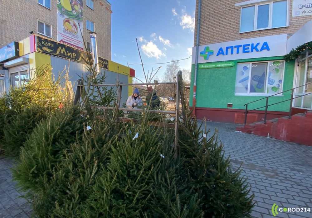 photo_2025-01-09_11-50-45