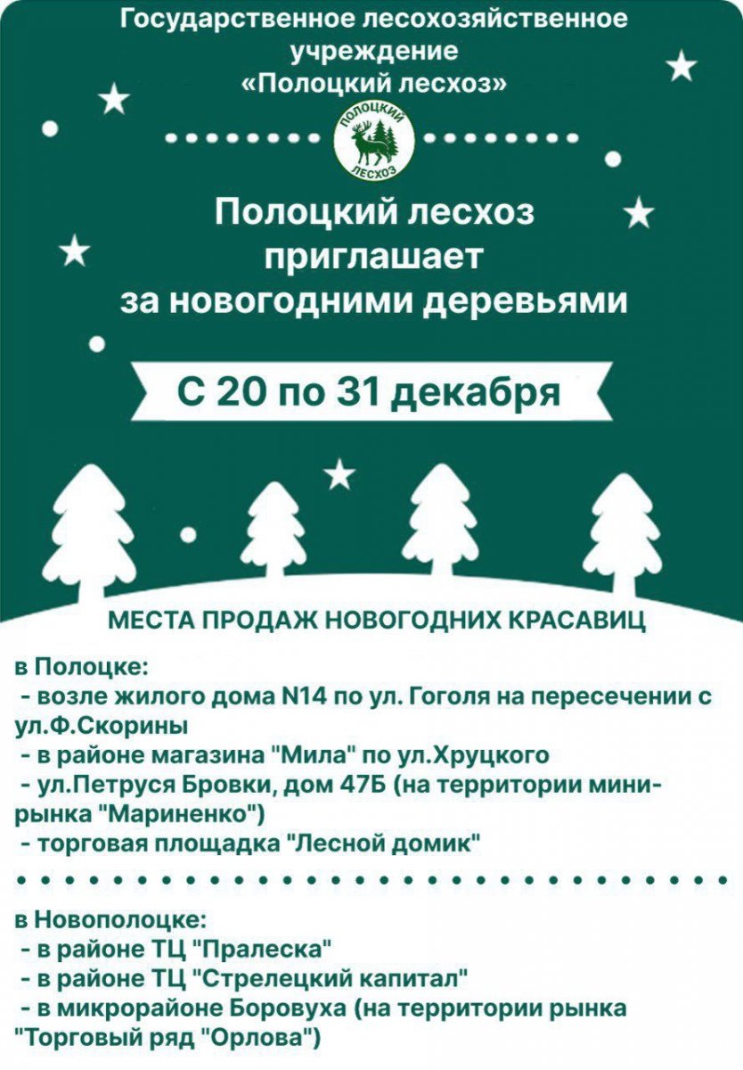 photo_2025-12-17_09-14-49 (1)