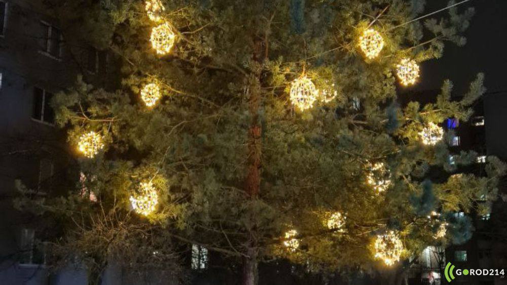 photo_2025-12-17_18-57-44