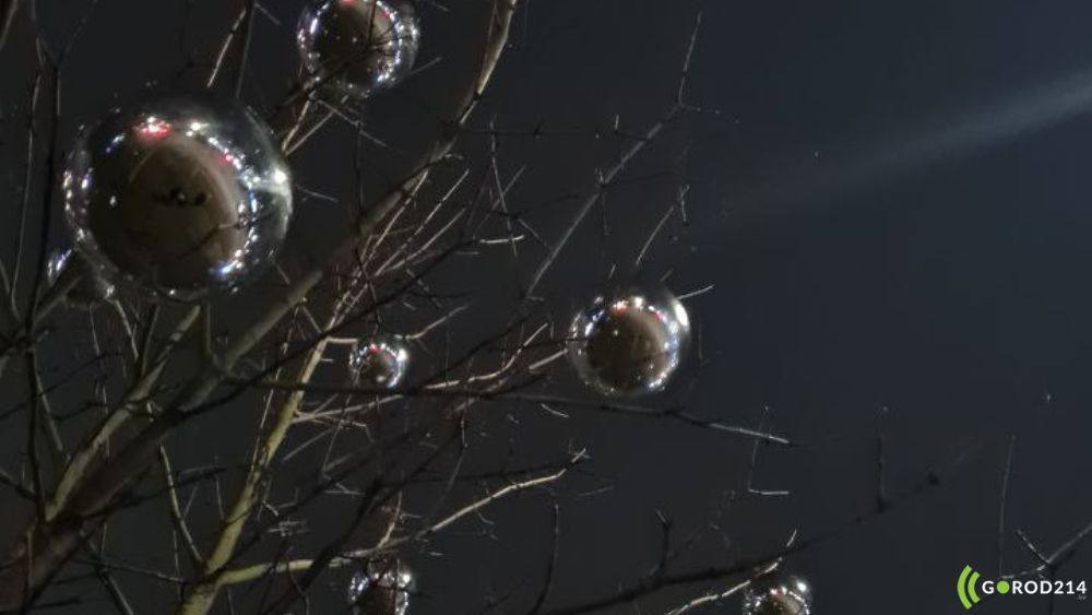 photo_2025-12-17_18-57-51