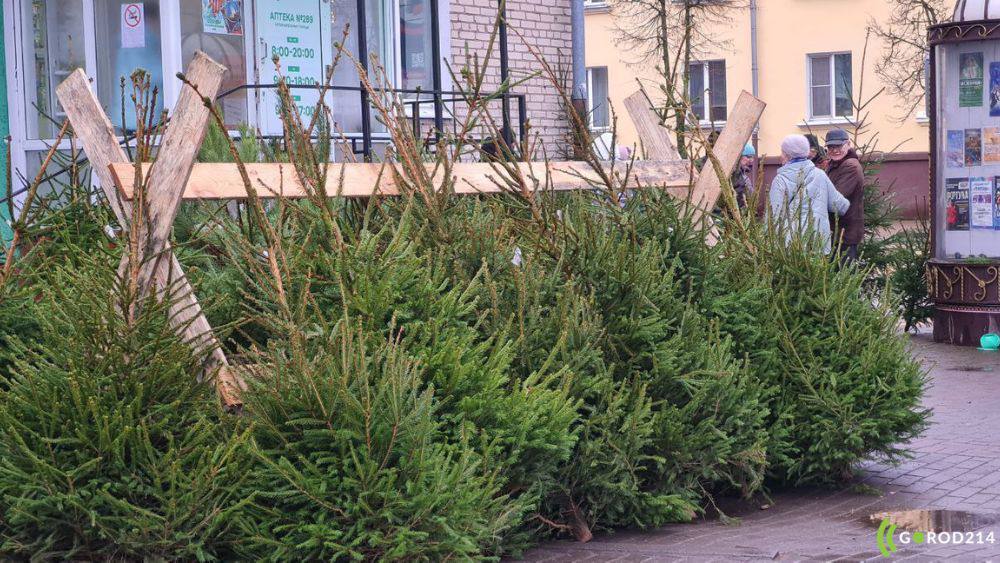 photo_2025-12-21_16-00-06 (2)