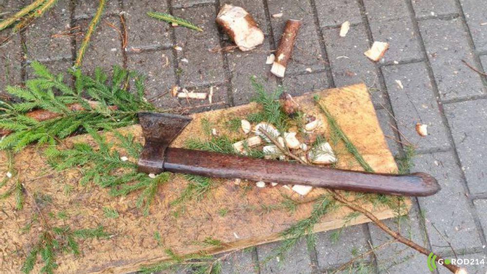 photo_2025-12-21_16-00-09