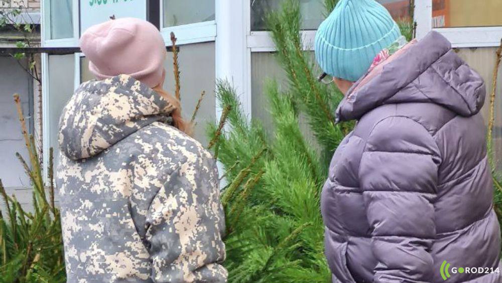 photo_2025-12-21_16-00-12