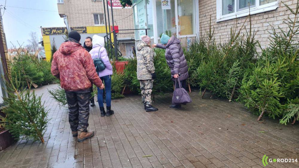 photo_2025-12-21_16-00-16 (2)