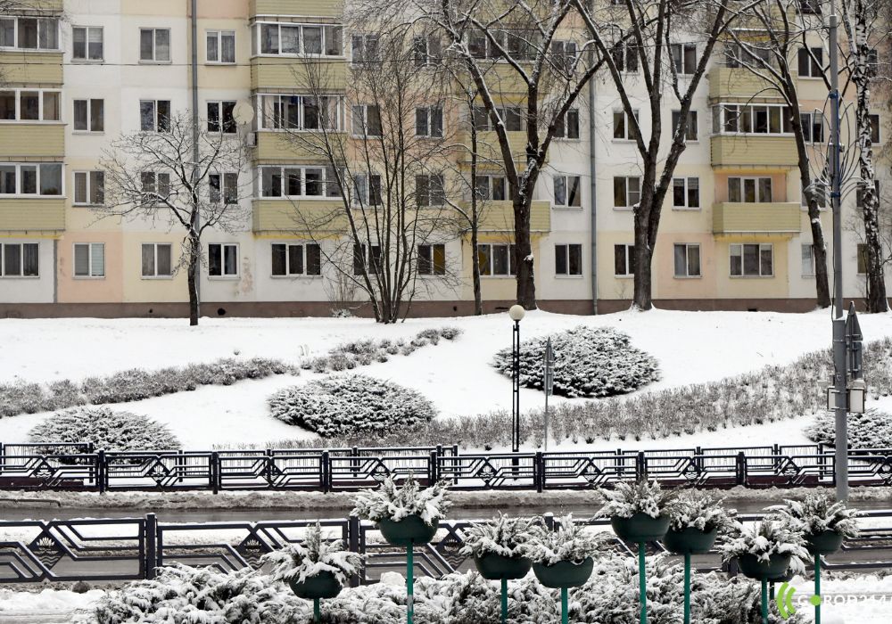 photo_2025-12-29_18-27-44