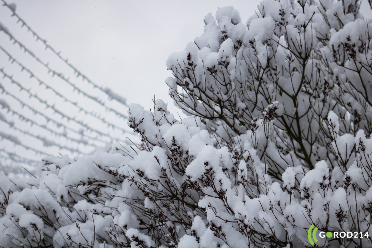 photo_2026-01-08_13-42-42
