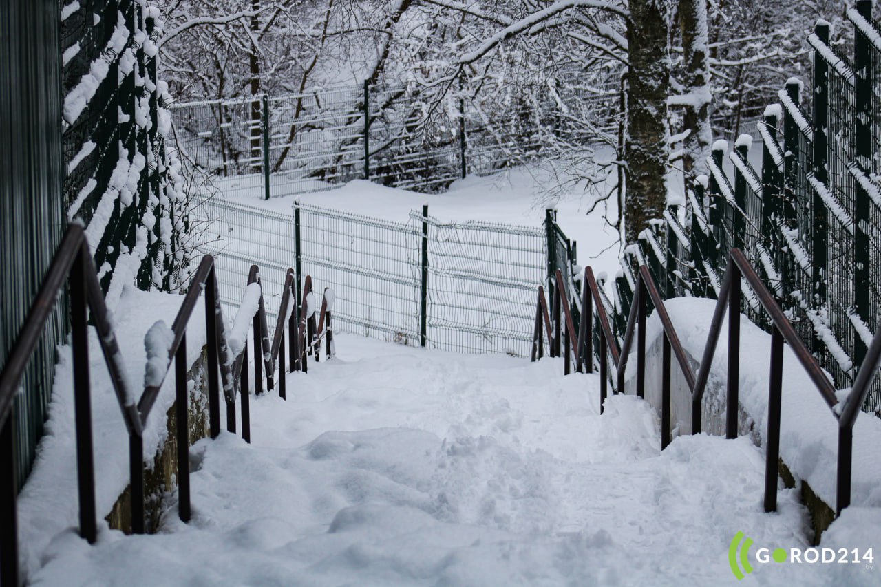 photo_2026-01-08_13-42-46