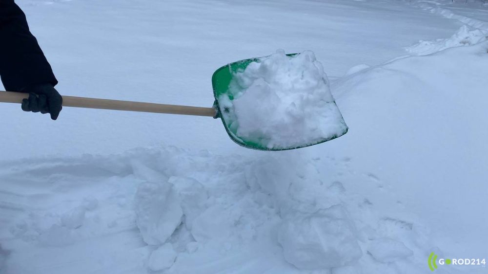 photo_2026-01-08_15-41-28 (2)