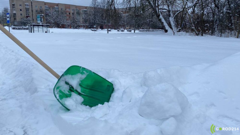 photo_2026-01-08_15-41-28 (6)